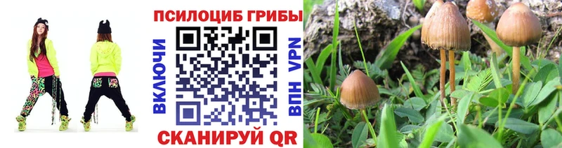 Псилоцибиновые грибы MAGIC MUSHROOMS Купить закладки Давлеканово